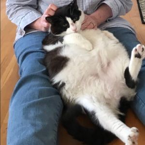 Meet your Posher, Halimah